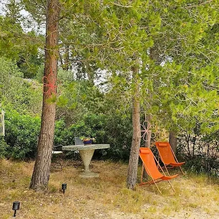 Joli T2 Avec Terrasse A