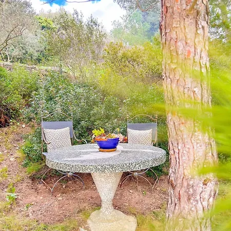 Joli T2 Avec Terrasse A *